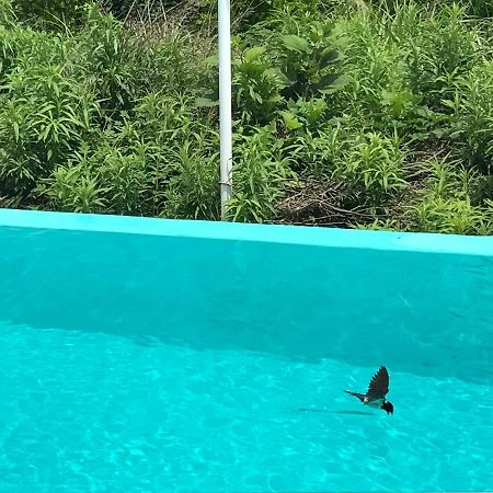 فندق Jeju 2Jj مدينة سيوجويبو المظهر الخارجي الصورة